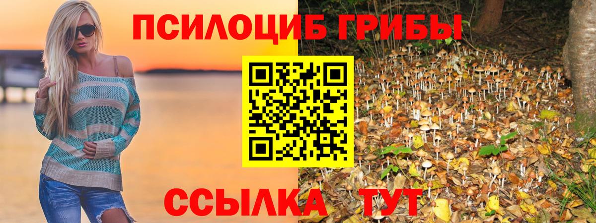 Галлюциногенные грибы ЛСД Советский