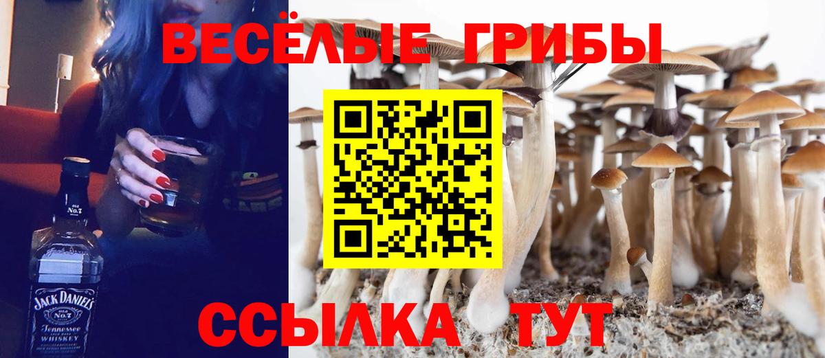 Советский  Галлюциногенные грибы Psilocybe  Вход с VPN 